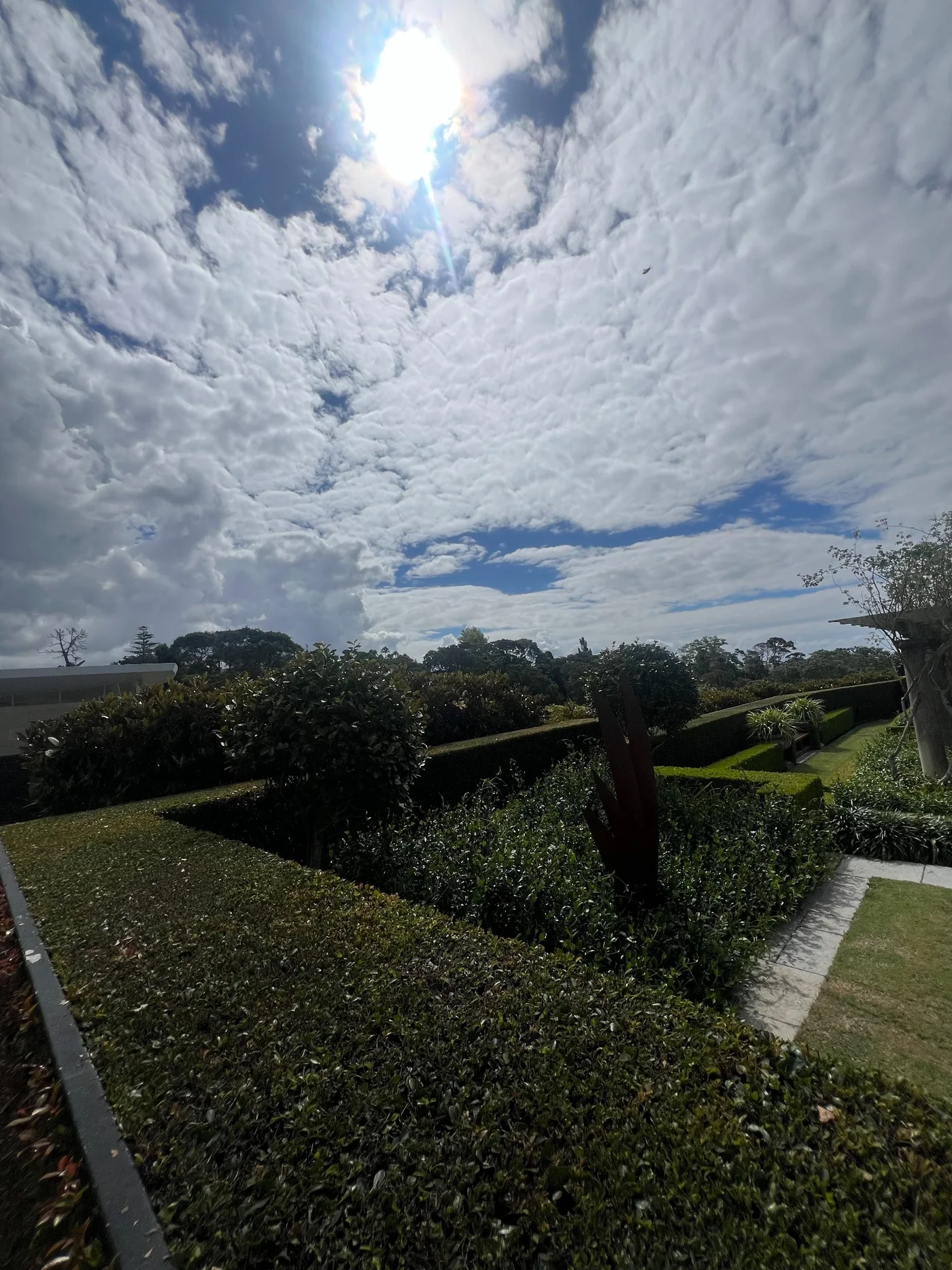 Garden beds and hedges across a residential property