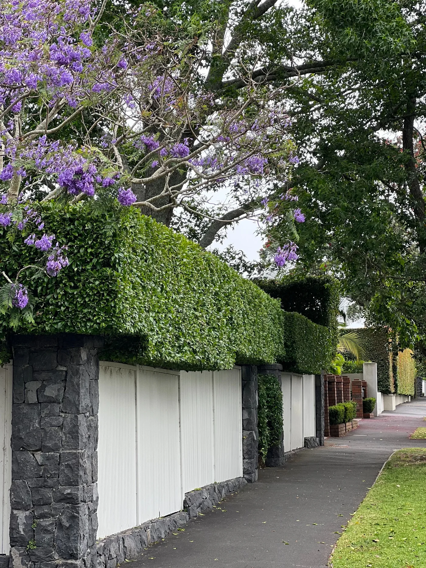 Street-side hedge and garden maintenance